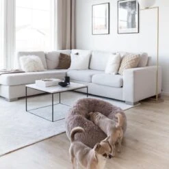 District 70 FUZZ - Hondenmand Comfortabel En Zacht Pluche - Zand, Oudroze, Donkergrijs En Lichtgrijs In S/M/L/XL - Maat: Medium, Kleur: Zand -Huisdierbenodigdheden Korting 1200x1200 2093