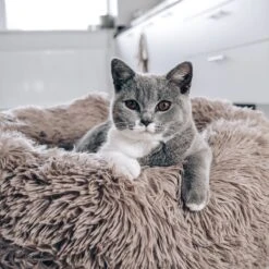 District 70 FUZZ - Hondenmand Comfortabel En Zacht Pluche - Zand, Oudroze, Donkergrijs En Lichtgrijs In S/M/L/XL - Maat: Medium, Kleur: Zand -Huisdierbenodigdheden Korting 1200x1200 2094