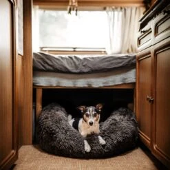 District 70 FUZZ - Hondenmand Comfortabel En Zacht Pluche - Zand, Oudroze, Donkergrijs En Lichtgrijs In S/M/L/XL - Maat: Medium, Kleur: Zand -Huisdierbenodigdheden Korting 1200x1200 2097