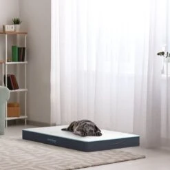 CozySense® - Orthopedisch Hondenkussen - Hondenkussen 100 X 70 Cm - Geschikt Als Benchkussen & Hondenbed - Hondenkussen Bank - Traagschuim - Waterdicht - Wasbare Hoes - Maat XL -Huisdierbenodigdheden Korting 1200x1200 2103