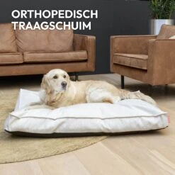 Snoozle Orthopedische Hondenmand - Zacht En Luxe Hondenkussen - Hondenbed - Wasbaar - Hondenmanden - 120 X 90 Cm - Groen -Huisdierbenodigdheden Korting 1200x1200 2121