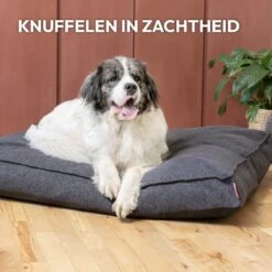 Snoozle Orthopedische Hondenmand - Zacht En Luxe Hondenkussen - Hondenbed - Wasbaar - Hondenmanden - 120 X 90 Cm - Groen -Huisdierbenodigdheden Korting 1200x1200 2123