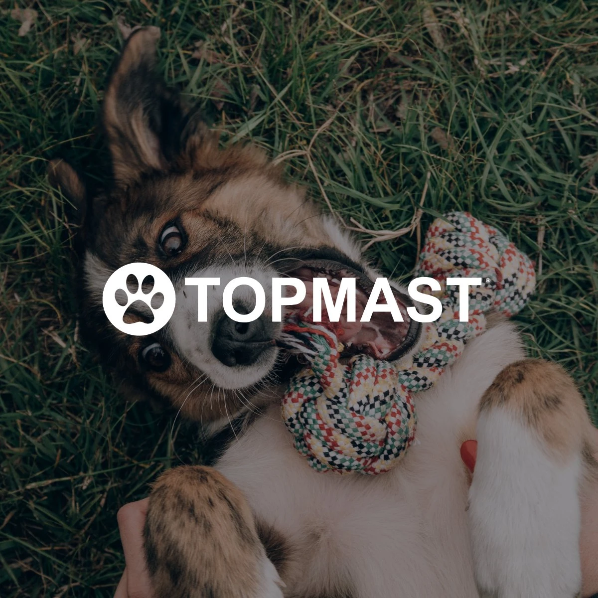 Topmast Waterproof Benchkussen - Nylon - Zwart - 90 X 60 Cm - Benchmat - Benchmatras - Waterafstotend - Hondenkussen 7 Topmast Waterproof Benchkussen - Nylon - Zwart - 90 X 60 Cm - Benchmat - Benchmatras - Waterafstotend - Hondenkussen - Image 5