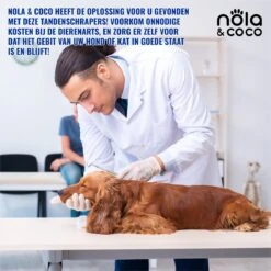 Nola & Coco® Tandsteen Verwijderaar Set Inclusief Bewaardoosje - Tandenkrabber - Set Van Twee - Hond - Kat - Tandenborstel - Tandplak Verwijderen - Tandenstoker - Honden Tanden Schoonmaken - Tandenhaakje - Gebitsreiniging -Huisdierbenodigdheden Korting 1200x1200 2209