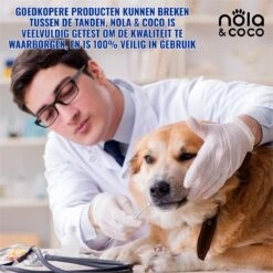 Nola & Coco® Tandsteen Verwijderaar Set Inclusief Bewaardoosje - Tandenkrabber - Set Van Twee - Hond - Kat - Tandenborstel - Tandplak Verwijderen - Tandenstoker - Honden Tanden Schoonmaken - Tandenhaakje - Gebitsreiniging -Huisdierbenodigdheden Korting 1200x1200 2210