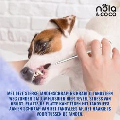 Nola & Coco® Tandsteen Verwijderaar Set Inclusief Bewaardoosje - Tandenkrabber - Set Van Twee - Hond - Kat - Tandenborstel - Tandplak Verwijderen - Tandenstoker - Honden Tanden Schoonmaken - Tandenhaakje - Gebitsreiniging -Huisdierbenodigdheden Korting 1200x1200 2212