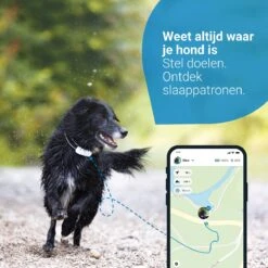 Tractive GPS DOG 4 - GPS Tracker Voor Honden & Activiteitenmonitor - Past Op Meeste Halsbanden - Wit -Huisdierbenodigdheden Korting 1200x1200 2232