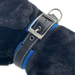 Halsband Hond Met Gesp - Reflecterend - Blauw - Maat XL - Oersterk -Huisdierbenodigdheden Korting 1200x1200 2243