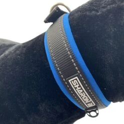 Halsband Hond Met Gesp - Reflecterend - Blauw - Maat XL - Oersterk -Huisdierbenodigdheden Korting 1200x1200 2244
