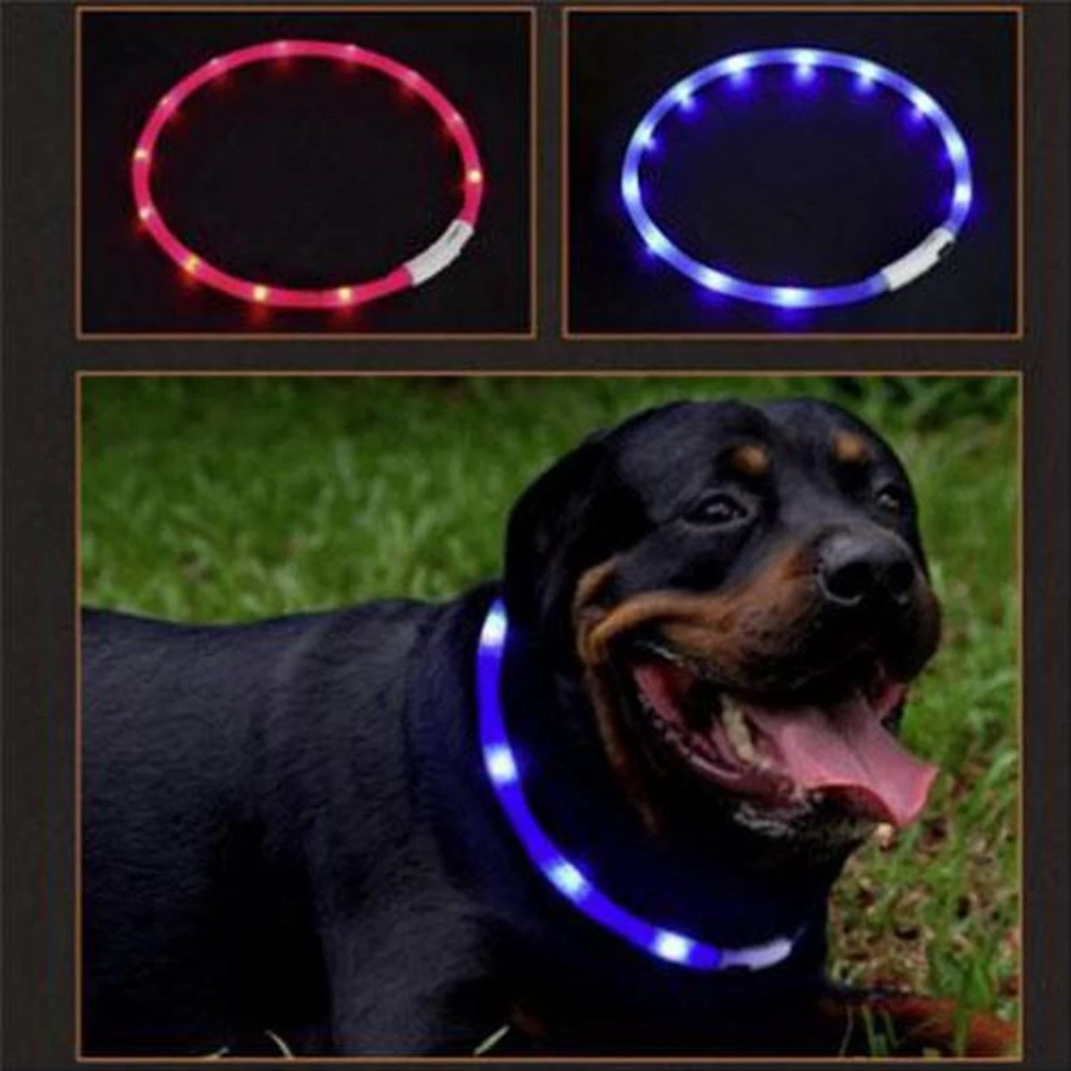 Merkloos Lichtgevende Honden Halsband Met Licht - LED Halsband USB Oplaadbaar - 50 Cm - Rood 5 Merkloos Lichtgevende Honden Halsband Met Licht - LED Halsband USB Oplaadbaar - 50 Cm - Rood - Image 3