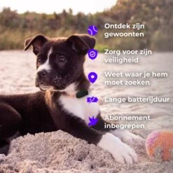 Invoxia - Huisdier GPS Tracker - Zonder Simkaart - Tot 1 Maand Batterijduur - Track & Trace Volgsysteem - Zwart -Huisdierbenodigdheden Korting 1200x1200 2252