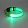 Merkloos Halsband Voor Hond Met Led Verlichting - Groen - Maat L (41-52cm) - Lichtgevende Hondenhalsband -Huisdierbenodigdheden Korting 1200x1200 2264