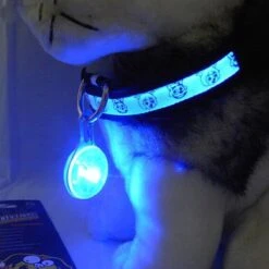 Cadellight Veiligheidslampje Voor Halsband - Dierenlampje - Blauw -Huisdierbenodigdheden Korting 1200x1200 2268