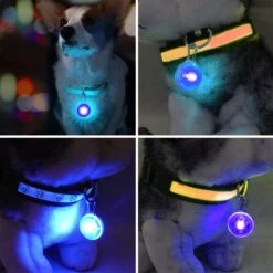 Professor Q - Verlichting Hond - Led Lampje Honden - Lampje Hondenhalsband - Honden Lampje Halsband - Hondenlampje - Blauw -Huisdierbenodigdheden Korting 1200x1200 2286
