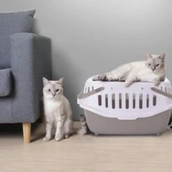 Nobleza 41WSJ - Reisbench - Reismand - Transportbox - 58 X 40 X 42.5 Cm - Grijs -Huisdierbenodigdheden Korting 1200x1200 2317