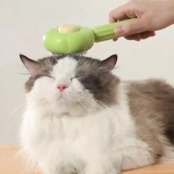 QT Petshop - Haarverwijderaar Voor Huisdieren - Groene Kattenborstel - Furminator Hondenborstel - Anti-Klit - Diervriendelijk - Dierenverzorging -Huisdierbenodigdheden Korting 1200x1200 238