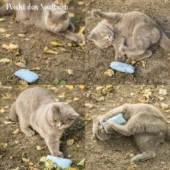 Mint Kitty Katten Speelgoed Set Van Kattenkussen Met Kattenkruid 9 Mint Kitty Katten Speelgoed Set Van Kattenkussen Met Kattenkruid -Huisdierbenodigdheden Korting 1200x1200 2385