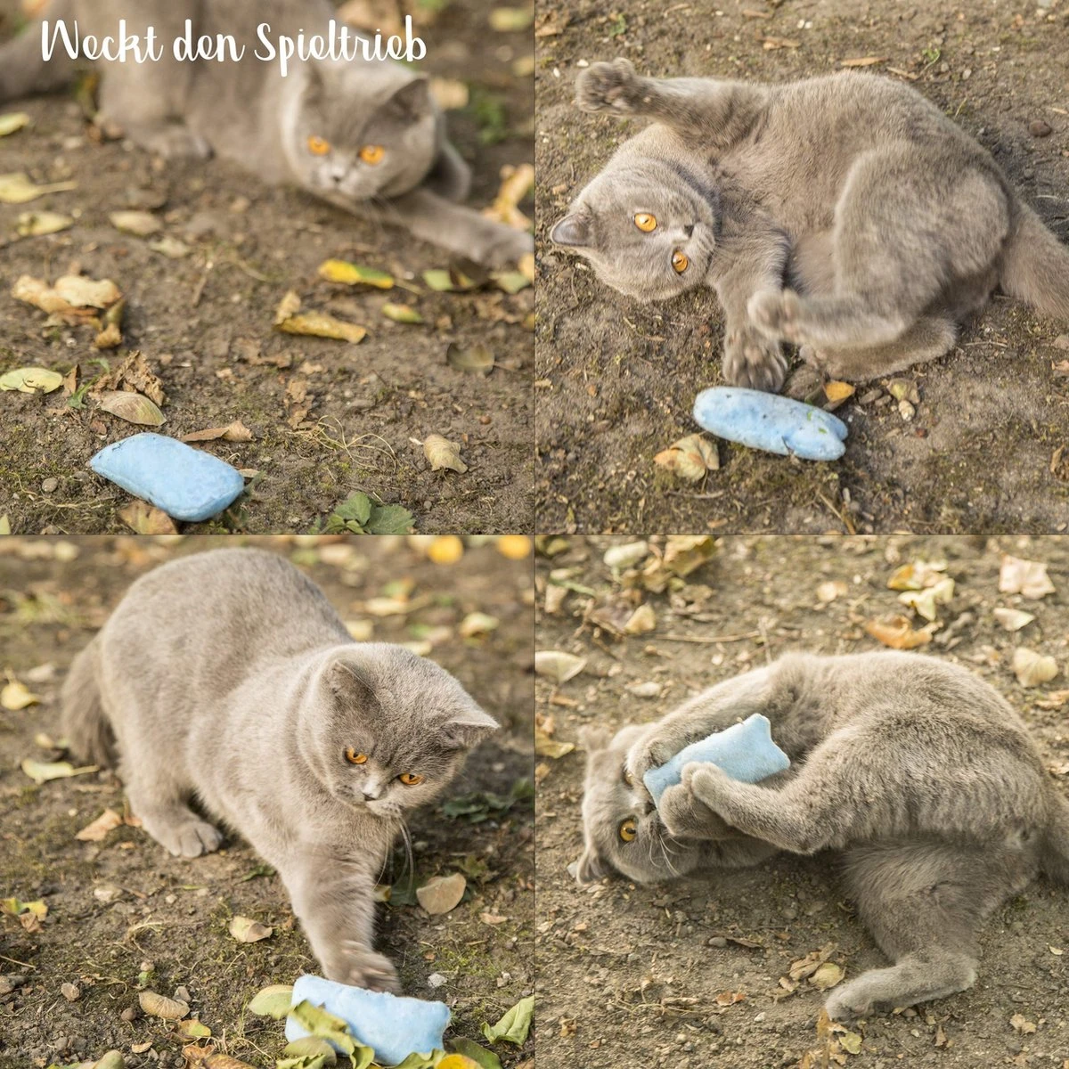 Mint Kitty Katten Speelgoed Set Van Kattenkussen Met Kattenkruid 6 Mint Kitty Katten Speelgoed Set Van Kattenkussen Met Kattenkruid - Image 4