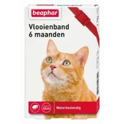 Beaphar Vlooienband Kat - Rood - 1 Stuk -Huisdierbenodigdheden Korting 1200x1200 2386