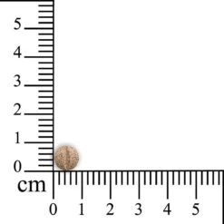 Sensipharm Omniderma Voor Kat, Hondje, Cavia, Konijn - Voedingssupplement Voor Huid En Vacht, Bij Jeuk, Eczeem & Hotspot - 90 Tabletten à 250 Mg -Huisdierbenodigdheden Korting 1200x1200 2390