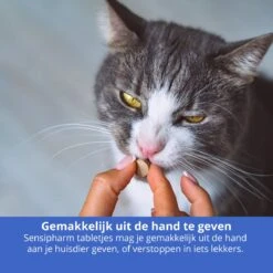 Sensipharm Omniderma Voor Kat, Hondje, Cavia, Konijn - Voedingssupplement Voor Huid En Vacht, Bij Jeuk, Eczeem & Hotspot - 90 Tabletten à 250 Mg -Huisdierbenodigdheden Korting 1200x1200 2391