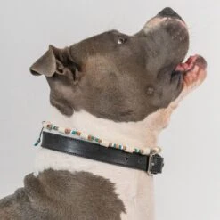 Boef The Label - Anti-tekenband - Tekenband - EM Kralen - Blauw - Maat M - 38 Tot 48cm -Huisdierbenodigdheden Korting 1200x1200 24