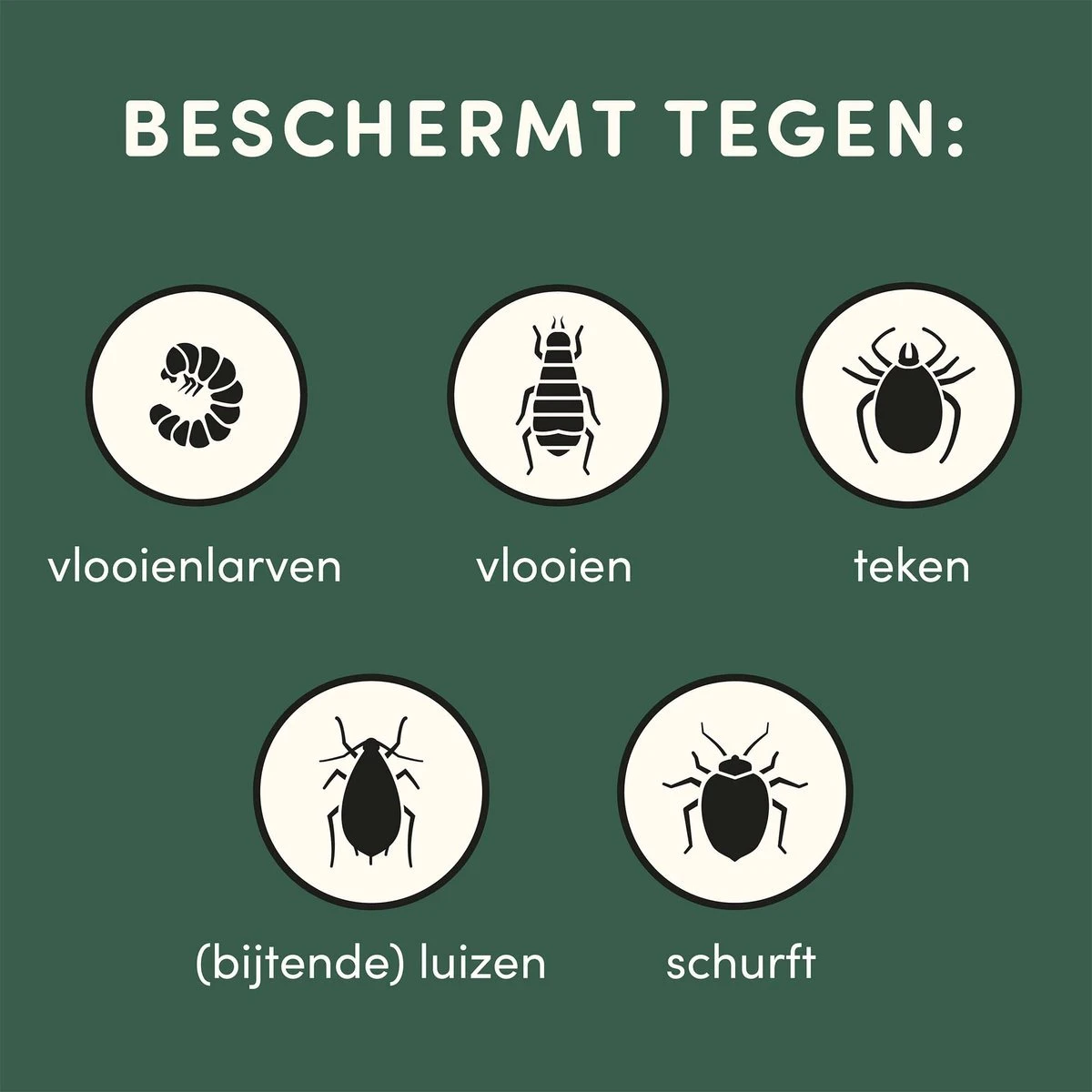 3 Stuks Vlooienband Kat Tekenband - 100% Natuurlijk Veilig En Waterbestendig 10 3 Stuks Vlooienband Kat Tekenband - 100% Natuurlijk Veilig En Waterbestendig - Image 8