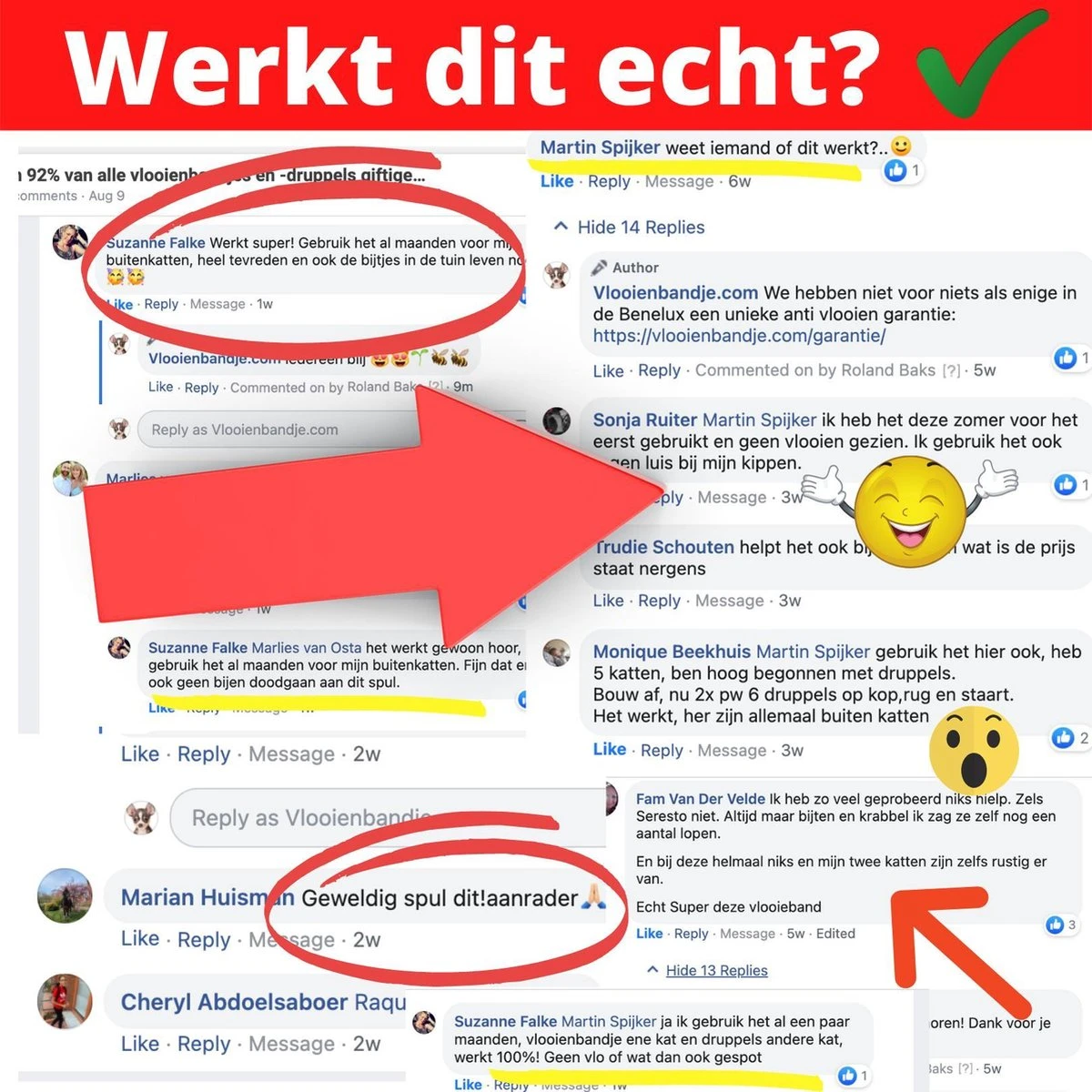 Natuurlijke Vlooiendruppels Voor Katten - Vanaf 4 Kg - 100% Natuurlijk - Vlooien - Zonder Giftige Pesticiden - 30 Ml - Speciale Formule Voor Katten - Vachtdruppels - Made In Holland 8 Natuurlijke Vlooiendruppels Voor Katten - Vanaf 4 Kg - 100% Natuurlijk - Vlooien - Zonder Giftige Pesticiden - 30 Ml - Speciale Formule Voor Katten - Vachtdruppels - Made In Holland - Image 6