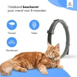 Essential Link Teken- En Vlooienband - Vlooienband Kat – Anti Vlooien – Vlooienmiddel - Tekenband - Diervriendelijk -Huisdierbenodigdheden Korting 1200x1200 2407