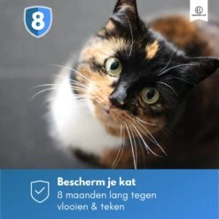 Essential Link Teken- En Vlooienband - Vlooienband Kat – Anti Vlooien – Vlooienmiddel - Tekenband - Diervriendelijk -Huisdierbenodigdheden Korting 1200x1200 2409