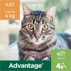 Bayer Advantage 40 Tegen Vlooien - <4kg - 4 X 0,4 Ml - Adult -Huisdierbenodigdheden Korting 1200x1200 2410