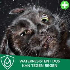 Teken- En Vlooienband Voor Katten PLUS - Natuurlijk Middel Tegen Vlooien En Teken - 100% Natuurlijk - 38,5 CM - Tot 8 Maand Werkzaam - Biologisch -Huisdierbenodigdheden Korting 1200x1200 2412