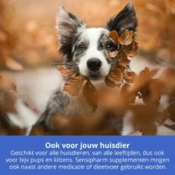 Sensipharm Urologist Aid Voor Kat, Hondje, Cavia, Konijn - Bij Blaasontsteking, Blaasgruis, Struviet, Oxalaat & Nierstenen - 90 Tabletten à 250 Mg -Huisdierbenodigdheden Korting 1200x1200 2418