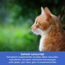 Sensipharm Urologist Aid Voor Kat, Hondje, Cavia, Konijn - Bij Blaasontsteking, Blaasgruis, Struviet, Oxalaat & Nierstenen - 90 Tabletten à 250 Mg -Huisdierbenodigdheden Korting 1200x1200 2419