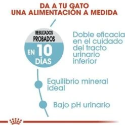 Royal Canin Urinary Care - Kattenvoer - 10 Kg -Huisdierbenodigdheden Korting 1200x1200 2437