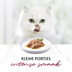 Gourmet Mon Petit Intense - Kattenvoer Natvoer - Vis - 24 X 50 Gr -Huisdierbenodigdheden Korting 1200x1200 2446