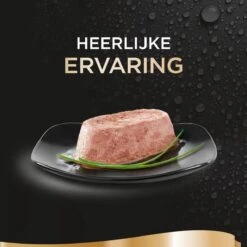 Sheba Perfect Portions Paté Katten Natvoer - Zalm - 48 Stuks -Huisdierbenodigdheden Korting 1200x1200 2466