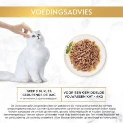 Gourmet Gold Malse Lekkernijen – Kattenvoer Natvoer – Met Kip – 24 X 85 Gr -Huisdierbenodigdheden Korting 1200x1200 2475