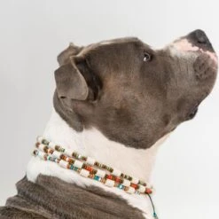 Boef The Label - Anti-tekenband - Tekenband - EM Kralen - Blauw - Maat M - 38 Tot 48cm -Huisdierbenodigdheden Korting 1200x1200 25