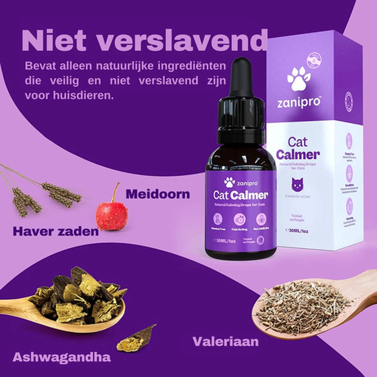 Aerend - Kalmerende Druppels Voor Katten - Anti-stress - Zanipro® 30ml - 100% Natuurlijk Uit Het Verenigd Koninkrijk - Met Ashwagandha & Valeriaan - No Stress Druppels Om Gedragsproblemen Te Verlichten - Voor Thuis En Onderweg 5 Aerend - Kalmerende Druppels Voor Katten - Anti-stress - Zanipro® 30ml - 100% Natuurlijk Uit Het Verenigd Koninkrijk - Met Ashwagandha & Valeriaan - No Stress Druppels Om Gedragsproblemen Te Verlichten - Voor Thuis En Onderweg - Image 3