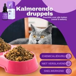 Aerend - Kalmerende Druppels Voor Katten - Anti-stress - Zanipro® 30ml - 100% Natuurlijk Uit Het Verenigd Koninkrijk - Met Ashwagandha & Valeriaan - No Stress Druppels Om Gedragsproblemen Te Verlichten - Voor Thuis En Onderweg 14 Aerend - Kalmerende Druppels Voor Katten - Anti-stress - Zanipro® 30ml - 100% Natuurlijk Uit Het Verenigd Koninkrijk - Met Ashwagandha & Valeriaan - No Stress Druppels Om Gedragsproblemen Te Verlichten - Voor Thuis En Onderweg -Huisdierbenodigdheden Korting 1200x1200 2505