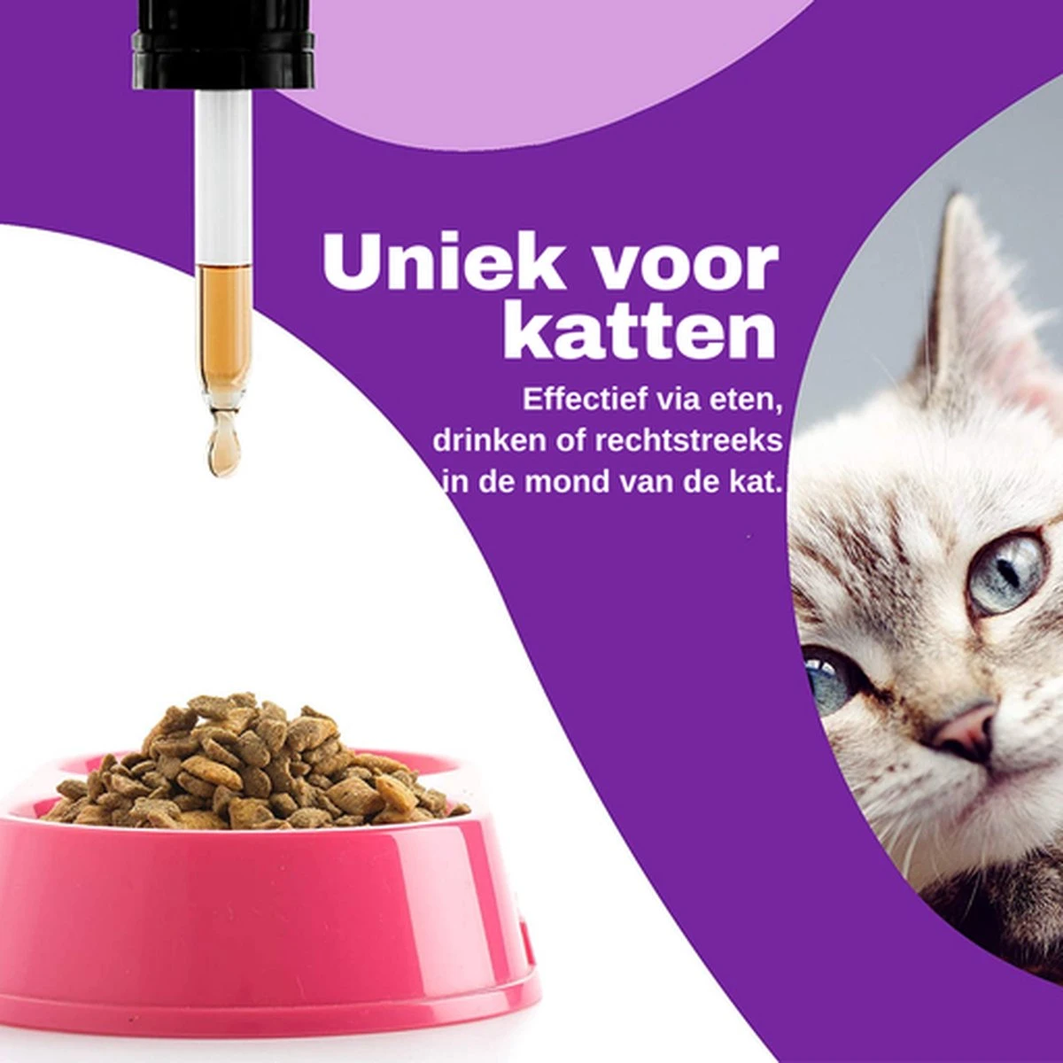 Aerend - Kalmerende Druppels Voor Katten - Anti-stress - Zanipro® 30ml - 100% Natuurlijk Uit Het Verenigd Koninkrijk - Met Ashwagandha & Valeriaan - No Stress Druppels Om Gedragsproblemen Te Verlichten - Voor Thuis En Onderweg 9 Aerend - Kalmerende Druppels Voor Katten - Anti-stress - Zanipro® 30ml - 100% Natuurlijk Uit Het Verenigd Koninkrijk - Met Ashwagandha & Valeriaan - No Stress Druppels Om Gedragsproblemen Te Verlichten - Voor Thuis En Onderweg - Image 7