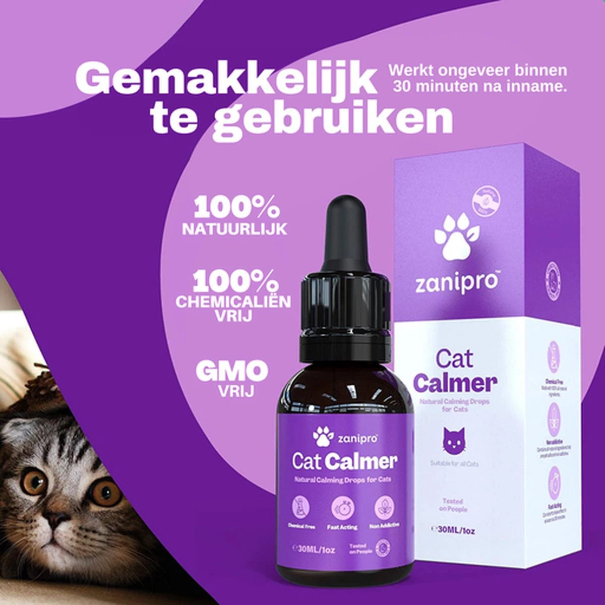 Aerend - Kalmerende Druppels Voor Katten - Anti-stress - Zanipro® 30ml - 100% Natuurlijk Uit Het Verenigd Koninkrijk - Met Ashwagandha & Valeriaan - No Stress Druppels Om Gedragsproblemen Te Verlichten - Voor Thuis En Onderweg 10 Aerend - Kalmerende Druppels Voor Katten - Anti-stress - Zanipro® 30ml - 100% Natuurlijk Uit Het Verenigd Koninkrijk - Met Ashwagandha & Valeriaan - No Stress Druppels Om Gedragsproblemen Te Verlichten - Voor Thuis En Onderweg - Image 8