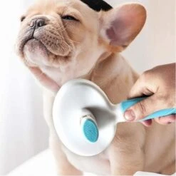 Merkloos Dierenborstel - Haarborstel Huisdieren - Borstel Voor Vacht Huisdier - Borstel Kat - Borstel Hond - Makkelijk Haar Verwijderen Met één Klik - Inclusief Speeltje - Kam Huisdier - Vachtverzorging - Massage 27 Merkloos Dierenborstel - Haarborstel Huisdieren - Borstel Voor Vacht Huisdier - Borstel Kat - Borstel Hond - Makkelijk Haar Verwijderen Met één Klik - Inclusief Speeltje - Kam Huisdier - Vachtverzorging - Massage -Huisdierbenodigdheden Korting 1200x1200 252