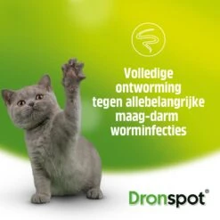 Dronspot Spot On Ontwormingsmiddel Voor Middelgrote Katten (2,5 Kg - 5 Kg) 2 Pipetten -Huisdierbenodigdheden Korting 1200x1200 2532