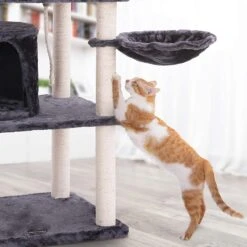 Hoppa! Kattenboom - Krabpaal - Grijs - Fluweel 14 Hoppa! Kattenboom - Krabpaal - Grijs - Fluweel -Huisdierbenodigdheden Korting 1200x1200 2550