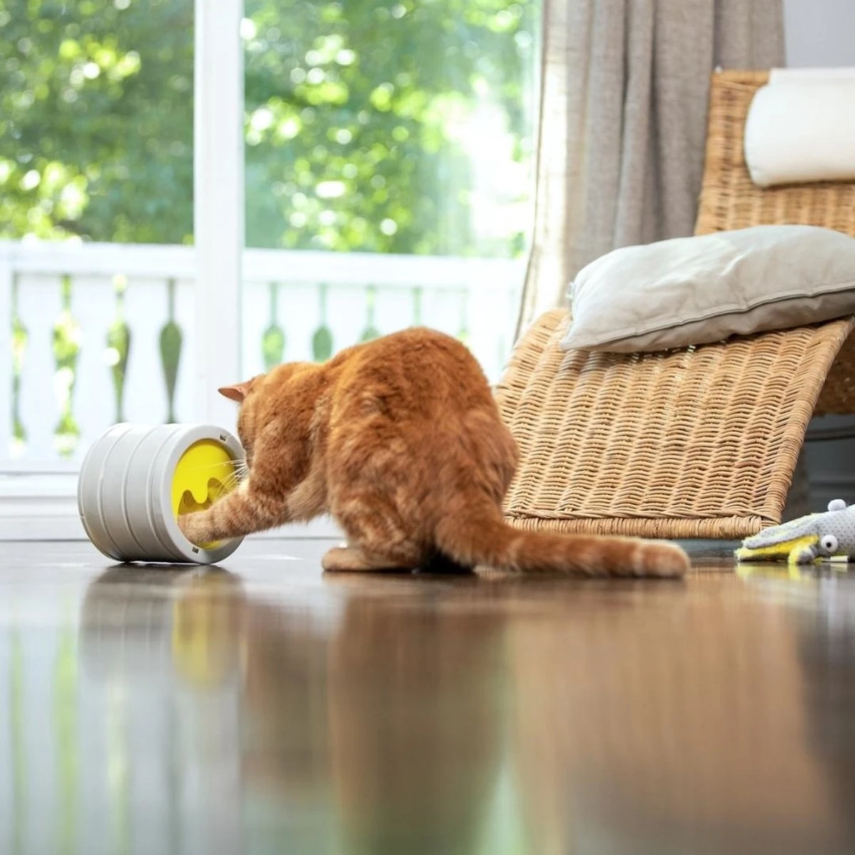 BeOneBreed Intellikatt - Slowfeeder Voor Katten - Voerpuzzel Aanbevolen Door Dierenartsen En Kattengedragsdeskundigen 6 BeOneBreed Intellikatt - Slowfeeder Voor Katten - Voerpuzzel Aanbevolen Door Dierenartsen En Kattengedragsdeskundigen - Afbeelding 4