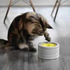 BeOneBreed Intellikatt - Slowfeeder Voor Katten - Voerpuzzel Aanbevolen Door Dierenartsen En Kattengedragsdeskundigen 15 BeOneBreed Intellikatt - Slowfeeder Voor Katten - Voerpuzzel Aanbevolen Door Dierenartsen En Kattengedragsdeskundigen -Huisdierbenodigdheden Korting 1200x1200 2598