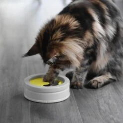 BeOneBreed Intellikatt - Slowfeeder Voor Katten - Voerpuzzel Aanbevolen Door Dierenartsen En Kattengedragsdeskundigen 16 BeOneBreed Intellikatt - Slowfeeder Voor Katten - Voerpuzzel Aanbevolen Door Dierenartsen En Kattengedragsdeskundigen -Huisdierbenodigdheden Korting 1200x1200 2599