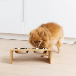 Navaris Verhoogd Dubbel Dieren Voedingsstation - 2 Kommen Voor Katten En Kleine Honden - Roestvrij Staal - Verhoogde Bamboe Standaard 12 Navaris Verhoogd Dubbel Dieren Voedingsstation - 2 Kommen Voor Katten En Kleine Honden - Roestvrij Staal - Verhoogde Bamboe Standaard -Huisdierbenodigdheden Korting 1200x1200 2608
